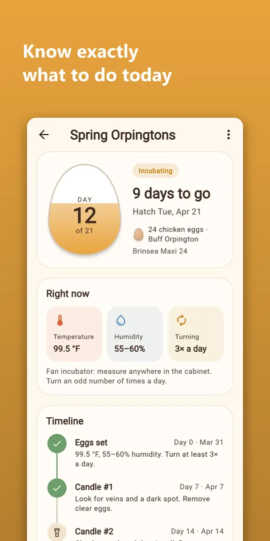 Hatchwise screenshot 2