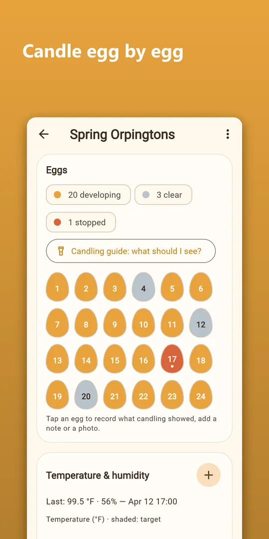 Hatchwise screenshot 3
