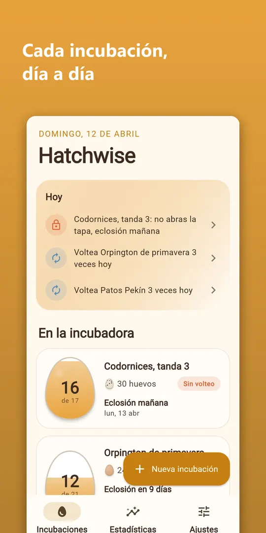 Captura 1 de Hatchwise