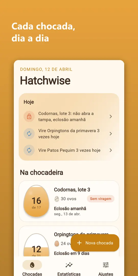 Captura 1 do Hatchwise