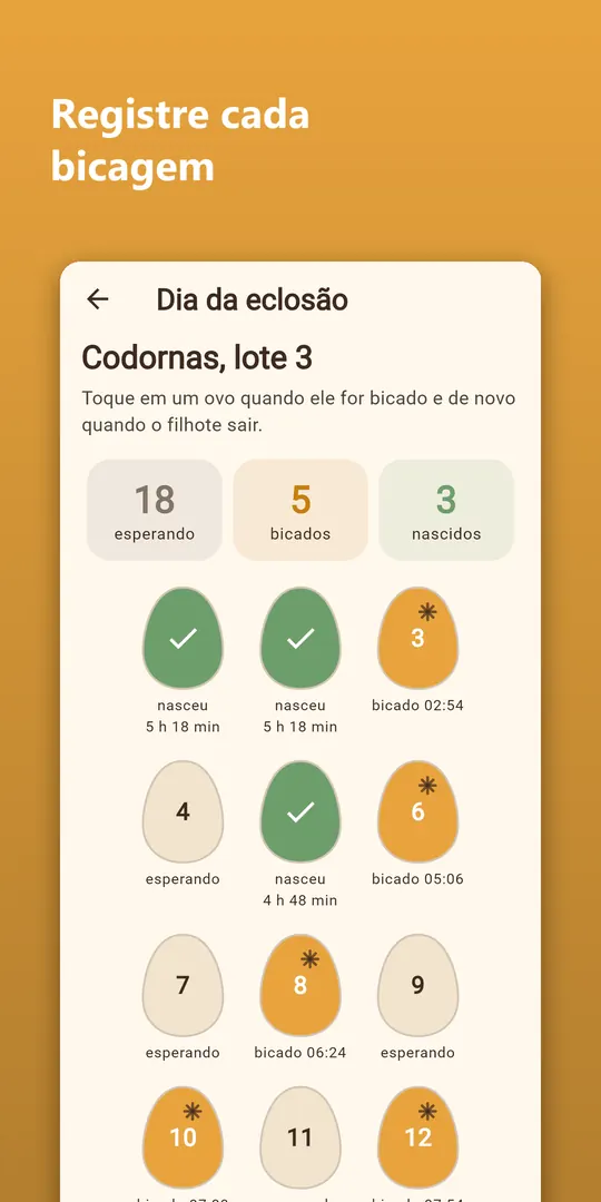 Captura 6 do Hatchwise