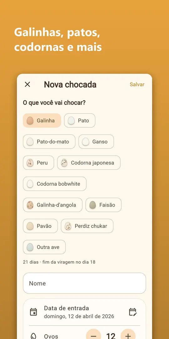 Captura 8 do Hatchwise
